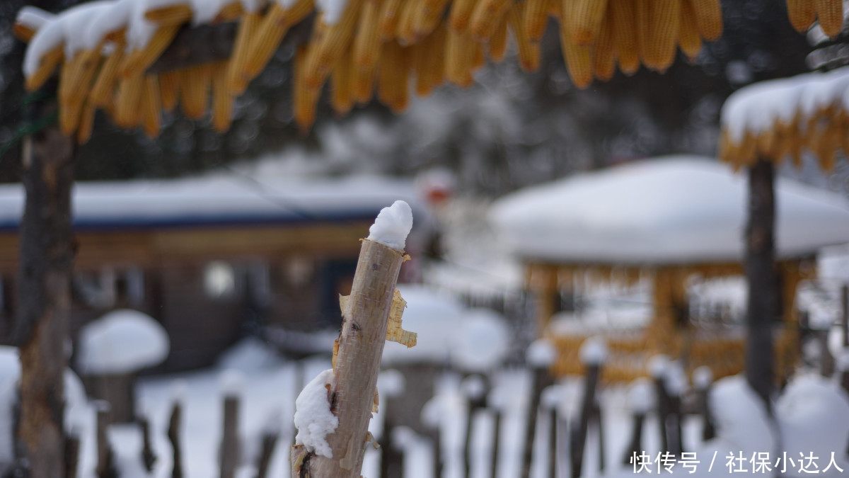 没有档案能办退休吗