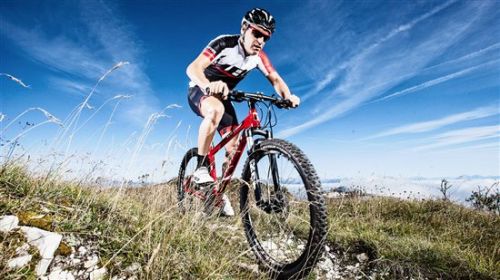 健身自行车品牌土拨鼠MARMOT:摩拜哈罗ofo共