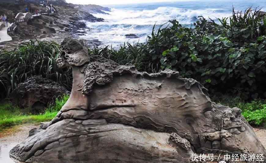 修长细脖难以承载a头颅的头颅女王,此世界奇观bt种子情趣内衣资源图片