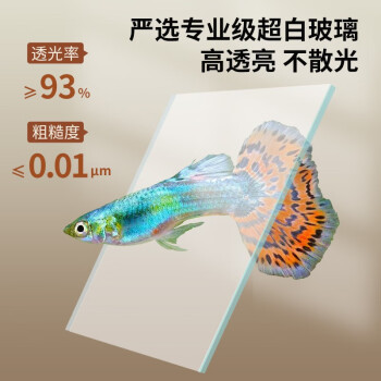 挑選銀龍魚注意事項（挑選銀龍魚注意事項有哪些） 銀龍魚百科