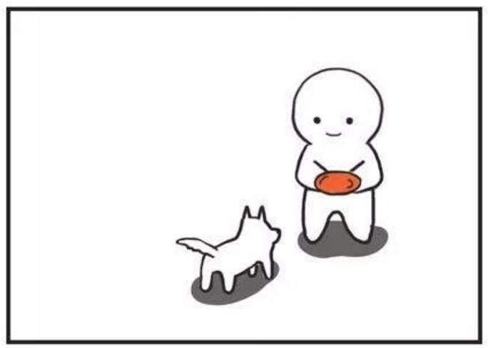 想知道狗狗每天黏着你的原因是什么吗?