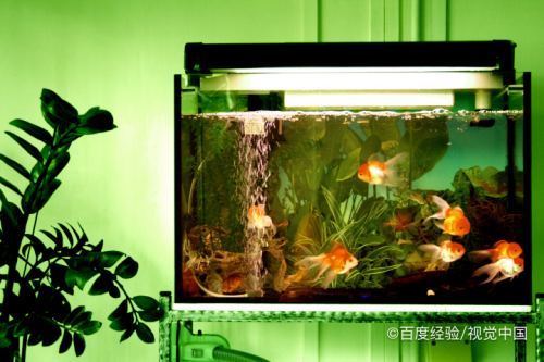 森森水族魚缸1.2米怎么安裝（森森1.2米魚缸安裝視頻）