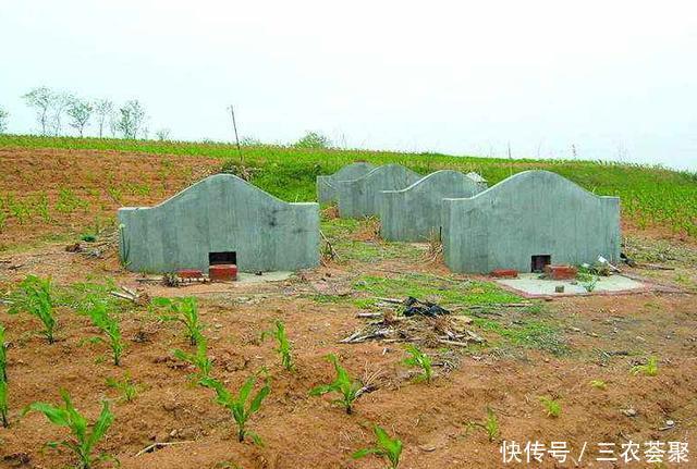 火葬也能领补贴?这三类人最高可领2万元,再也不用担心死不起了