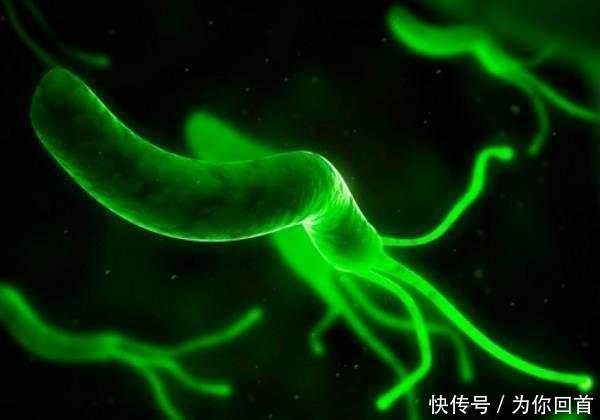 幽门螺旋杆菌作怪! 多吃6种碱性食物对胃好, 胃