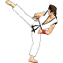 Final Karate Demoƽ