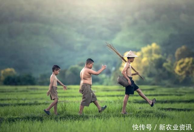 老人总说“七月蜂,八月蛇,九月黄鳝惹不得”,这话该如何理解 888国际真人娱乐