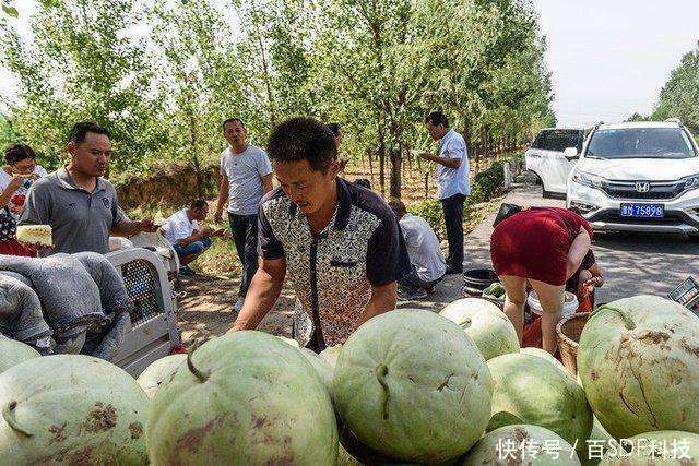 小伙路边卖“不熟”的西瓜，路人却纷纷购买，知道真相让人惊叹