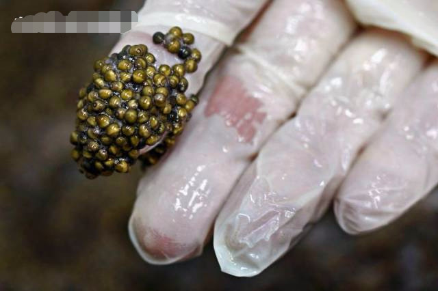 吃着时候美味无比,可看到原材料时,让人不由想吐出来