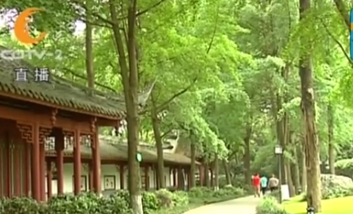 都江堰突降汤圆大冰雹 网友直呼被吓醒 气温