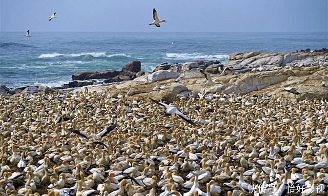 t018f191bbdbe63e4c9.jpg?size=640x382