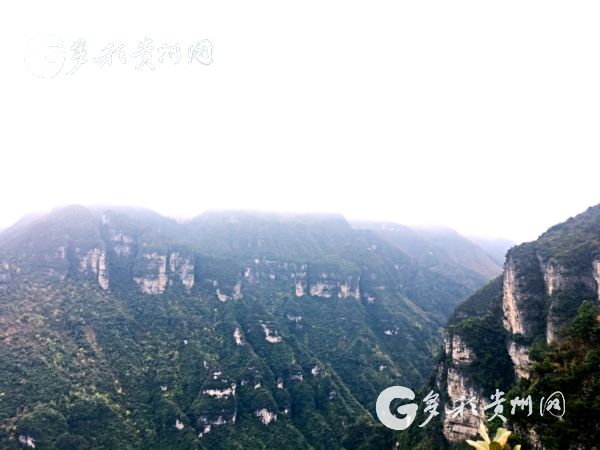 阳春三月!沿河南庄万亩李花吸引着众多游客前来游玩