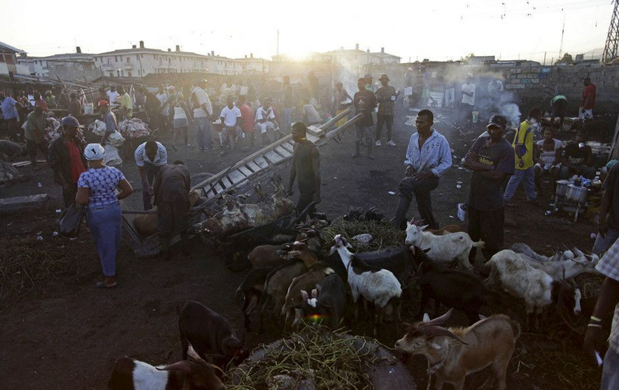 摄影揭秘海地太子港山羊屠宰场泥地恶臭血迹斑