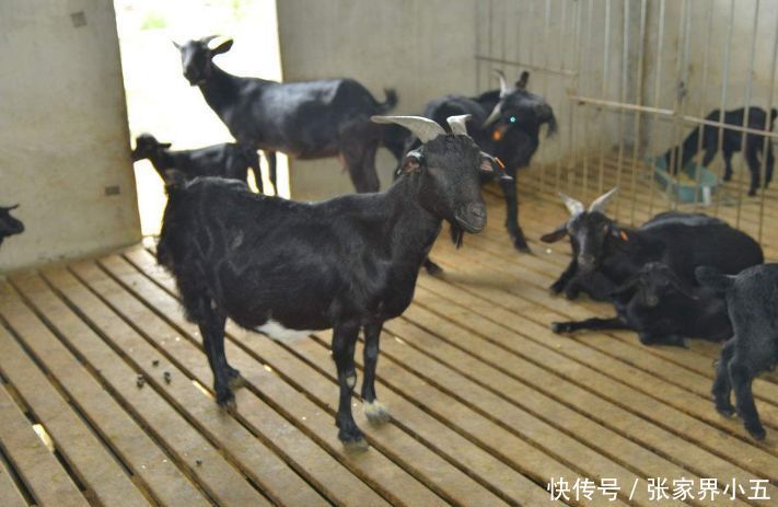 2018年回农村各行各业有什么样的发展?适合年轻人回乡吗?