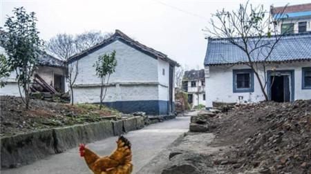 宅基地1平方补偿多少