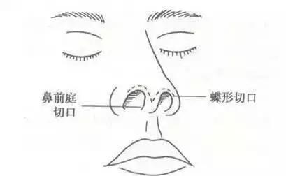 t01917e441c01e37bb5.jpg