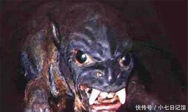 十大世界诡异生物,十大世界诡异生物排名