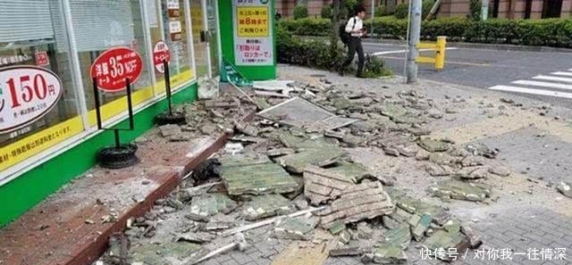 大阪6.1级大地震,京都鹿群离家出走,但猫咪等动