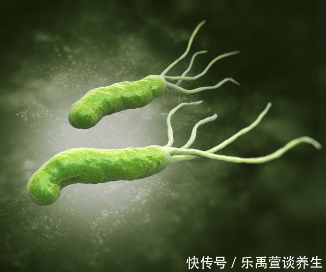 幽门螺旋杆菌感染,身体有这3个特征,若没有,你