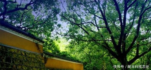 唐代不知名诗人,最出名的一首堪称天下奇诗,4