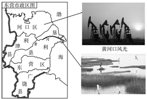 东营市河口区城镇人口_东营市河口区地图(2)