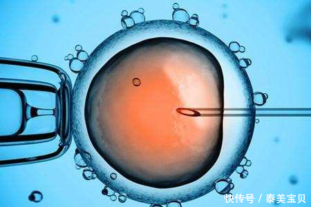 弱精少精精子畸形率高等精子问题做试管婴儿为