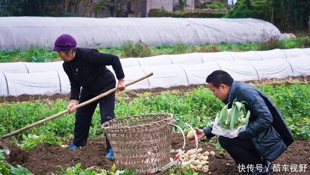 去重庆周边踏春发现4个采摘地,风景好空气好,