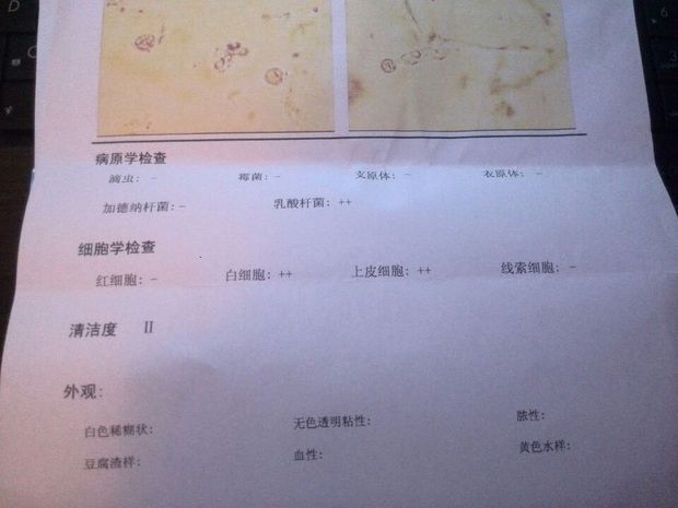 t01980d03edbb941466.jpg