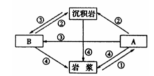 自然地理环境的各要素之间存在着物质与能量的