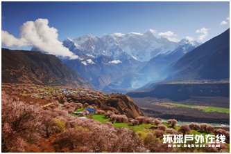 这个春天，来雅鲁藏布大峡谷，共赴一场桃花盛宴