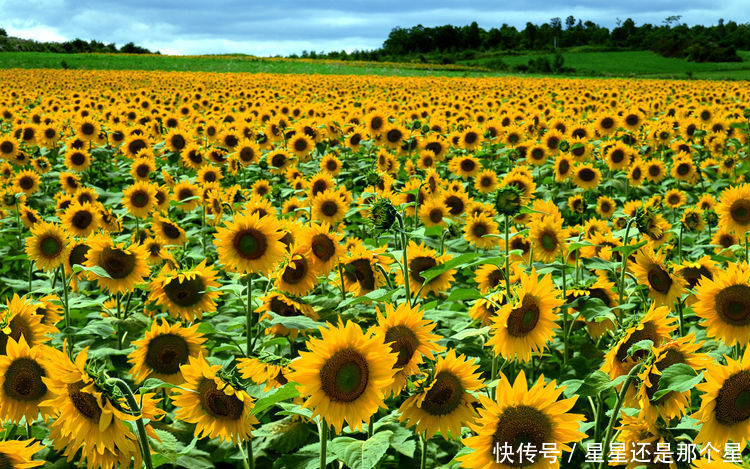 算命的说，6月财神保佑，横财满地中大奖，富贵添喜有车房三生肖