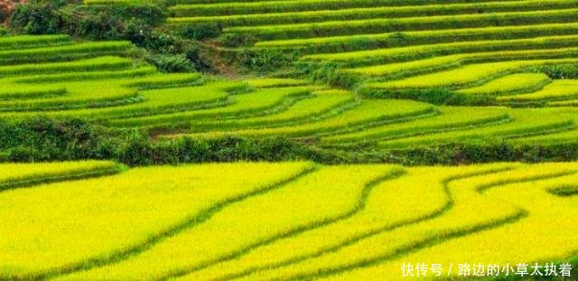 农民参保养老金的条件是什么居民养老保险和职