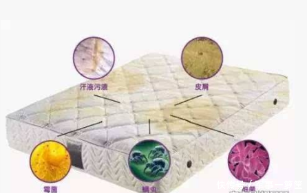 她睡了十年的床垫 掀开后全家吓傻