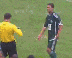 搞笑系列,足球场上面的搞笑瞬间