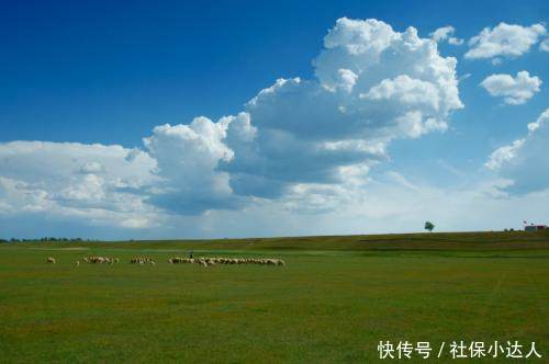 养老保险滞纳金