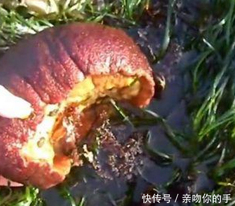 女子在河里捡到一块“腊肉”，洗干净一看，顿时高兴的跳了起来