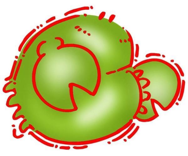 巨蟹座2018年5月射手星座运势座a射手石是碧玺吗图片