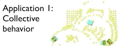 活体可编程机器人