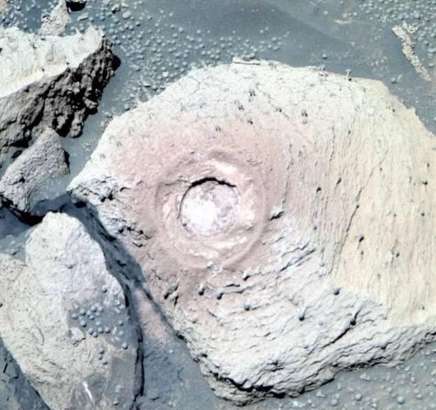 火星拍到蘑菇照片能证明火星有生命吗? 火星蘑