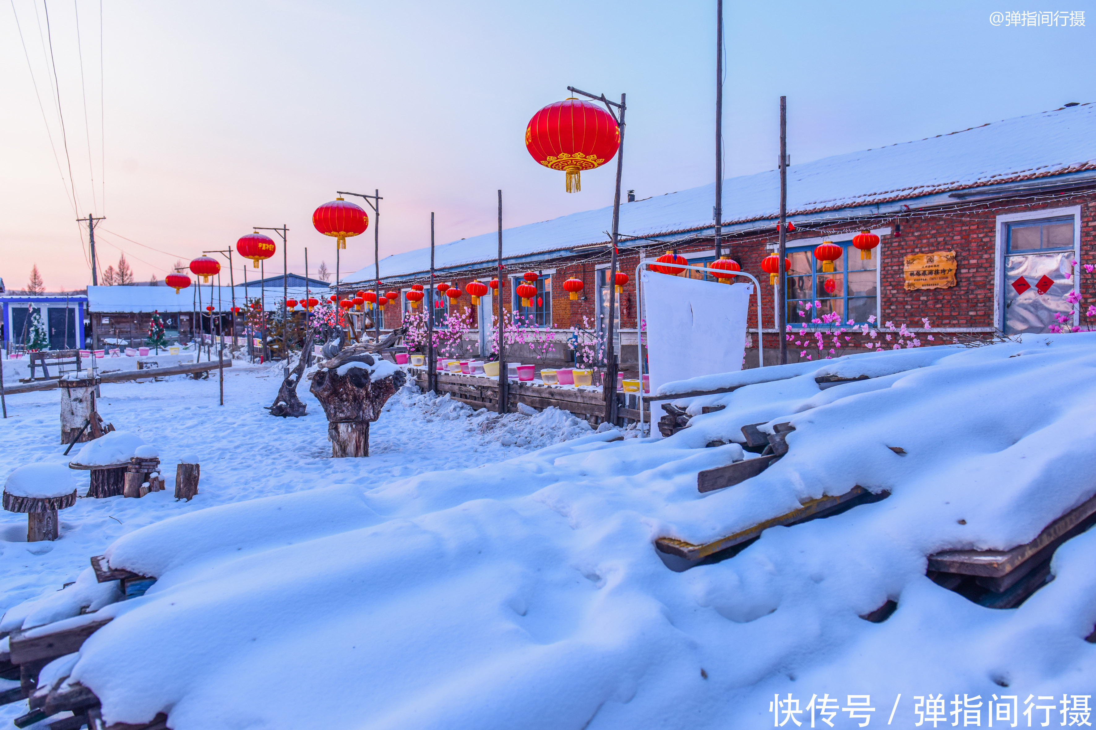 在中国最冷的地方,南方游客脱掉上衣在雪地拍