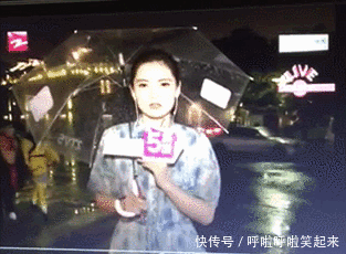 幼儿园老师辞职信