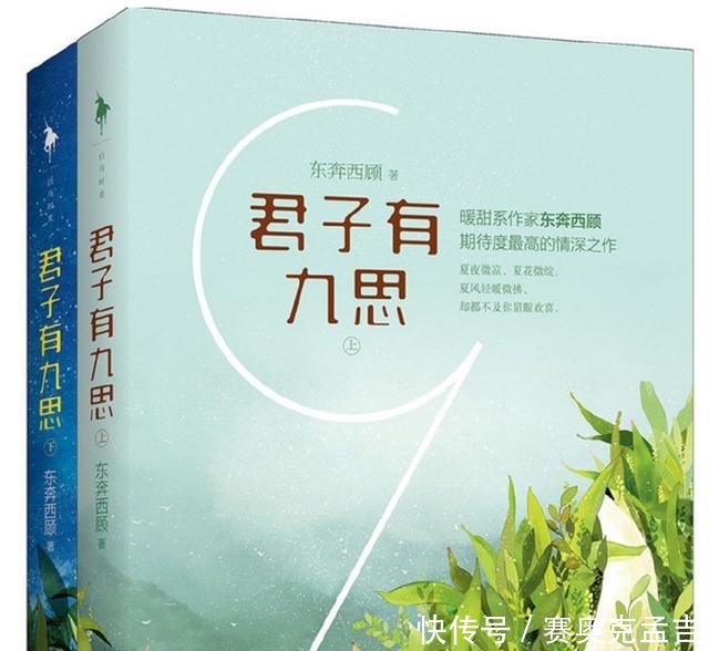 浓郁京味儿高干小说推荐男主实力宠妻,第二本