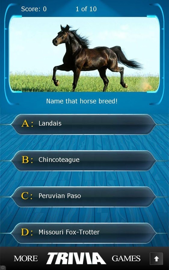 Name that Horse Breed Trivia截图8