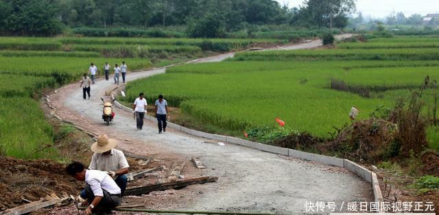 村村通公路政策
