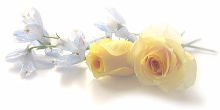 青岛海尔600690遭严重低估,后市要连连暴涨