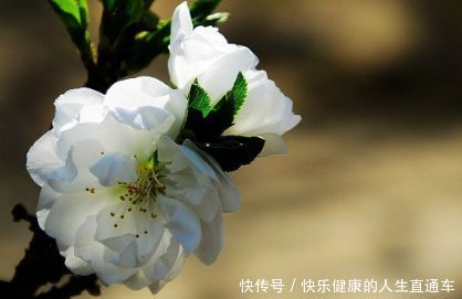 民间三大灵异事件,至今科学都无法予以解释,你遇见过吗?