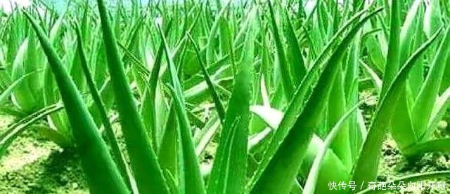 t01a70b980c2eab8af2.jpg