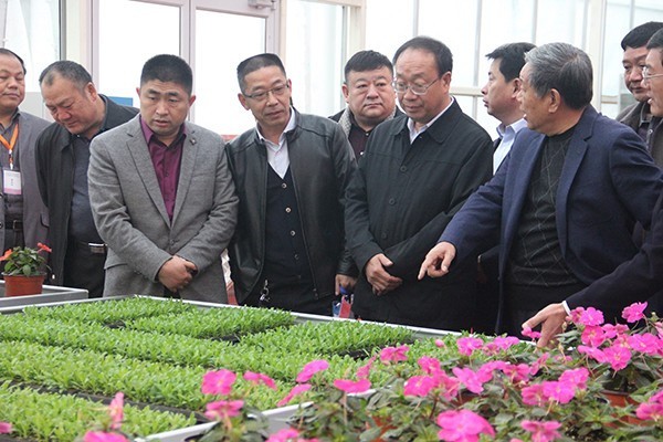 10月與您相約鄭州國際花卉園藝展(圖3) 10月與您相約鄭州國際花卉園藝展(圖3)