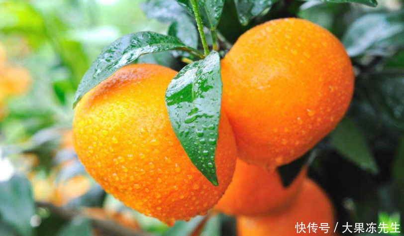 沃柑有减肥功效吗?怎么吃效果最好?