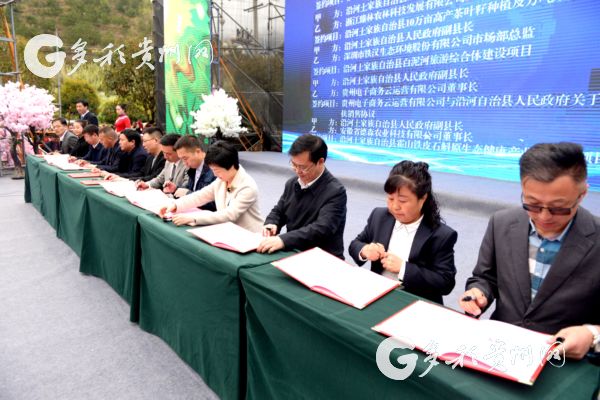 阳春三月!沿河南庄万亩李花吸引着众多游客前来游玩