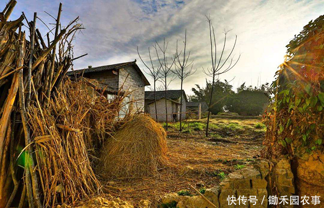 那些进城的“农村人”，别忘了去老家领这笔钱！新的拆迁政策来了